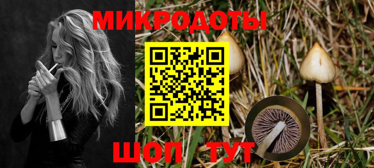 Псилоцибиновые грибы прущие грибы Назрань