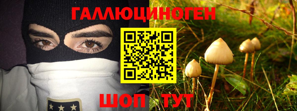 Псилоцибиновые грибы MAGIC MUSHROOMS  где можно купить   Назрань  Вход с VPN 